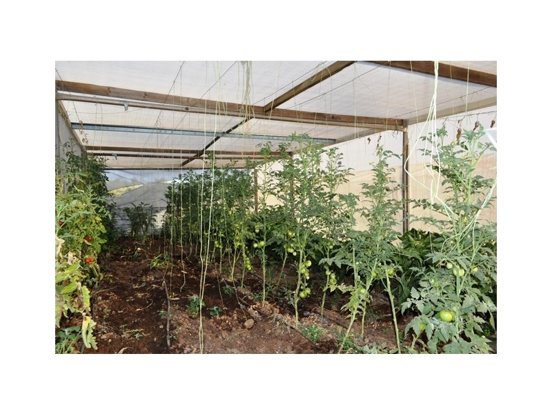 Lot 41 Dalkeith Road, Kudla SA 5115