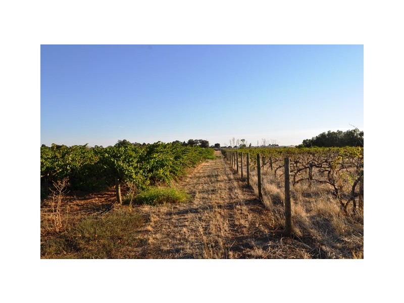 Lot 41 Dalkeith Road, Kudla SA 5115