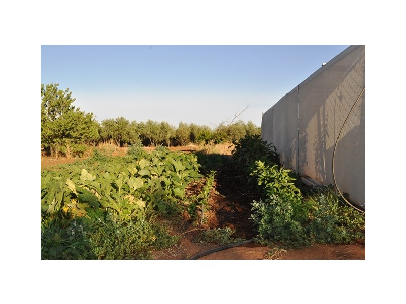 Lot 41 Dalkeith Road, Kudla SA 5115