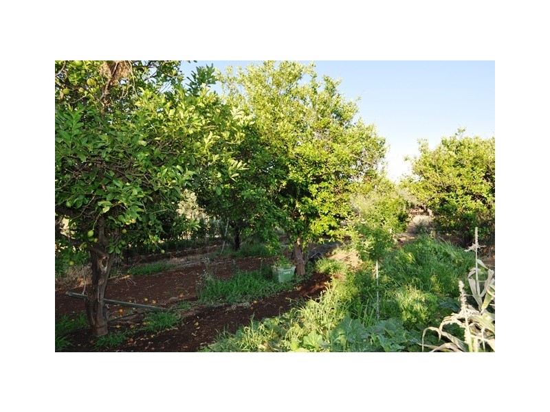 Lot 41 Dalkeith Road, Kudla SA 5115