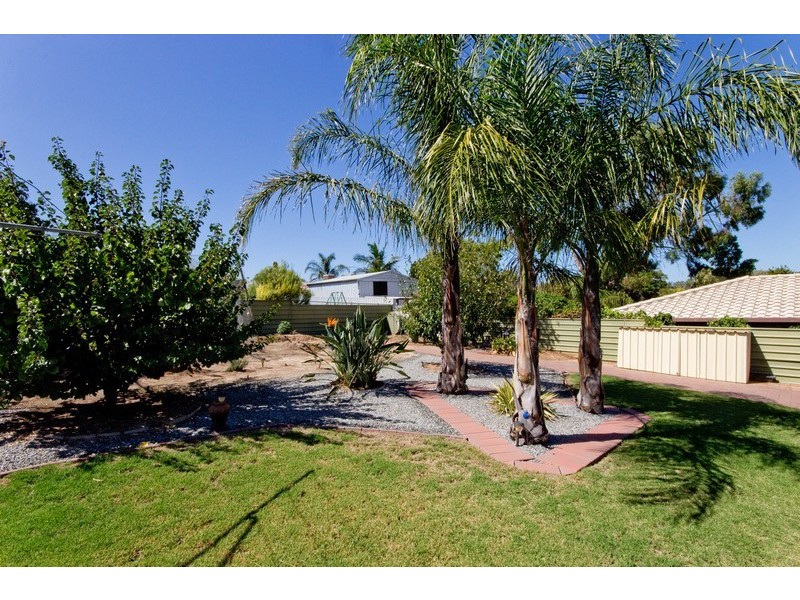 38 McKinlay Avenue, Gawler East SA 5118