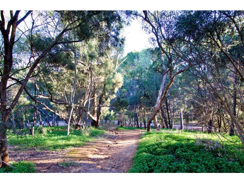 28 Pemberley Avenue, Salisbury Park SA 5109