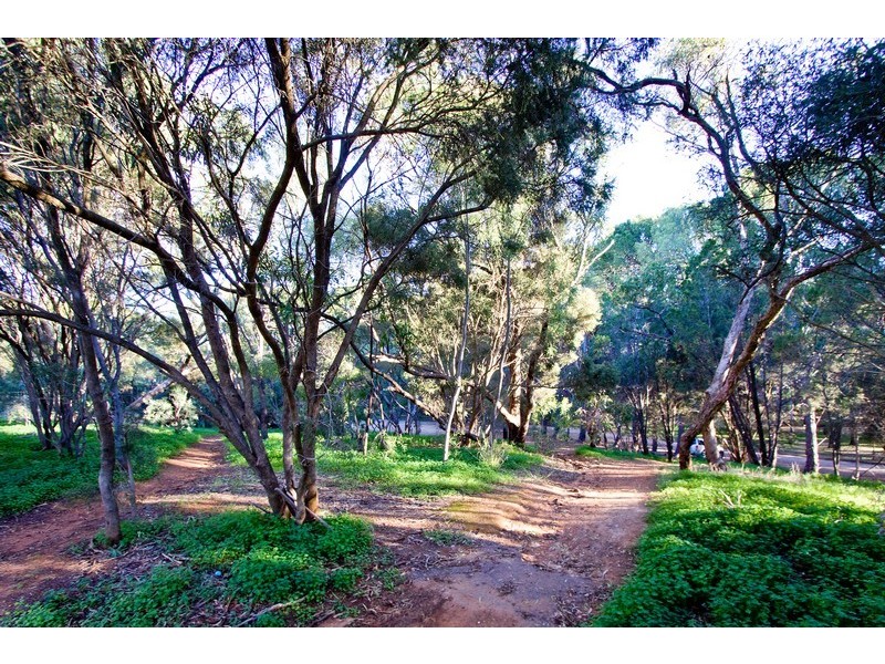 28 Pemberley Avenue, Salisbury Park SA 5109