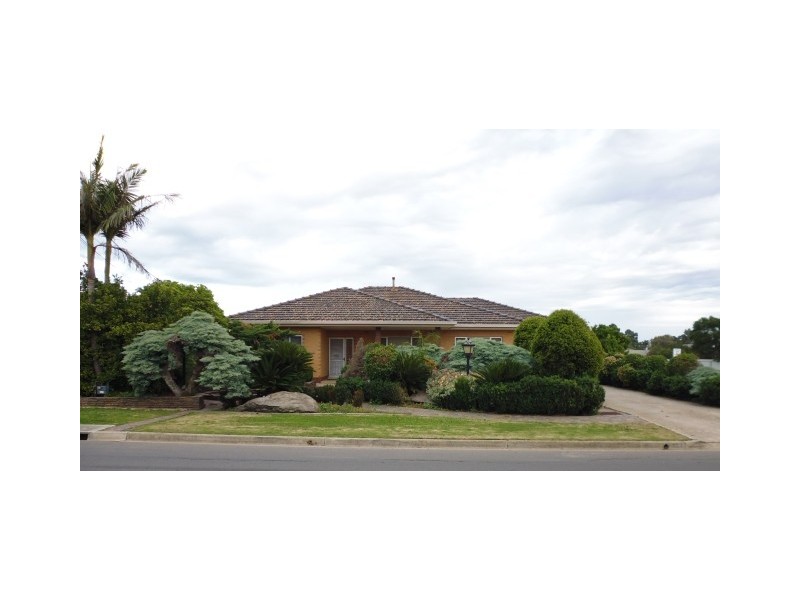 48 Avenue Road, Paradise SA 5075