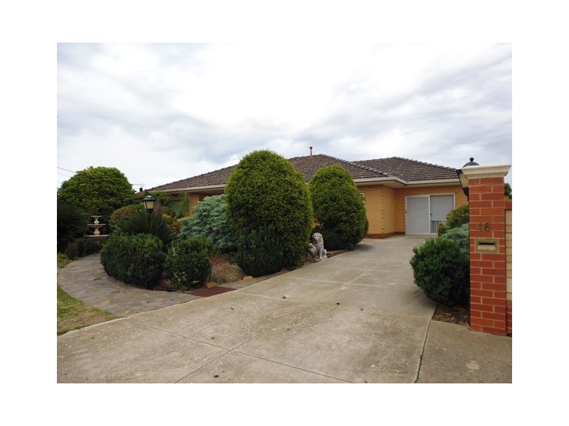 48 Avenue Road, Paradise SA 5075