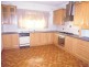 48 Avenue Road, Paradise SA 5075