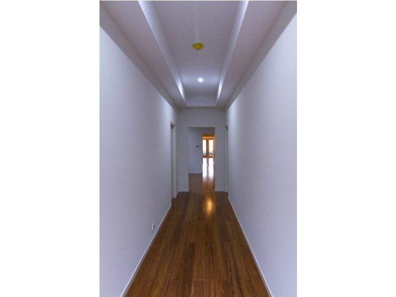 73 Livingstone Avenue, Prospect SA 5082