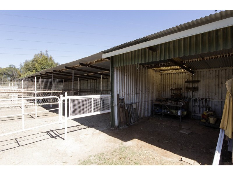 7 Alabar Crescent, Globe Derby Park SA 5110