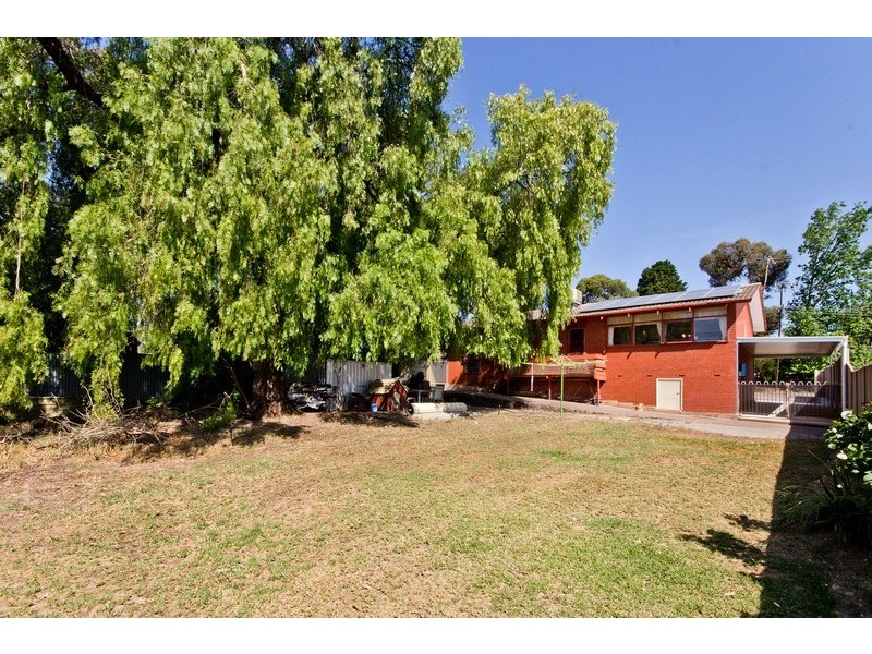 14 Launceston Avenue, Banksia Park SA 5091
