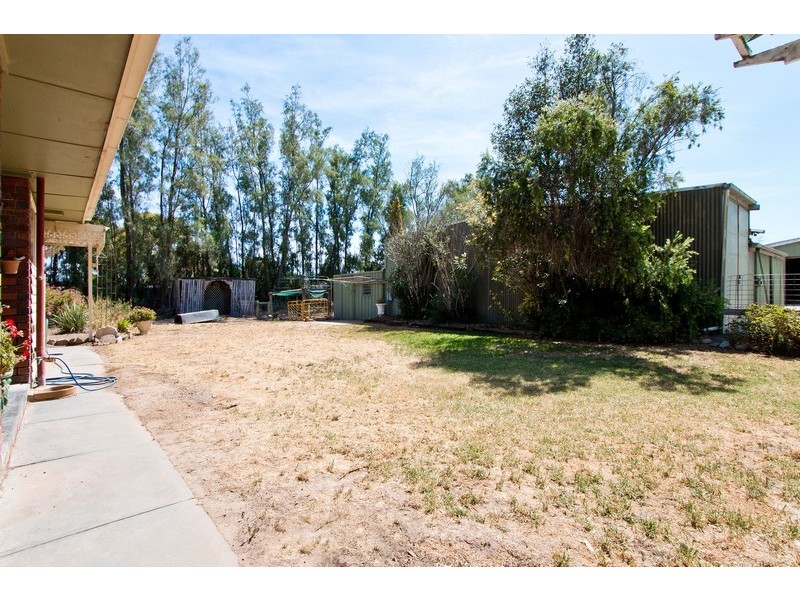 7 Trotters Drive, Globe Derby Park SA 5110