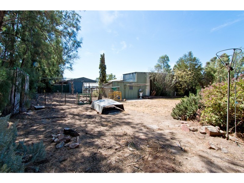 7 Trotters Drive, Globe Derby Park SA 5110