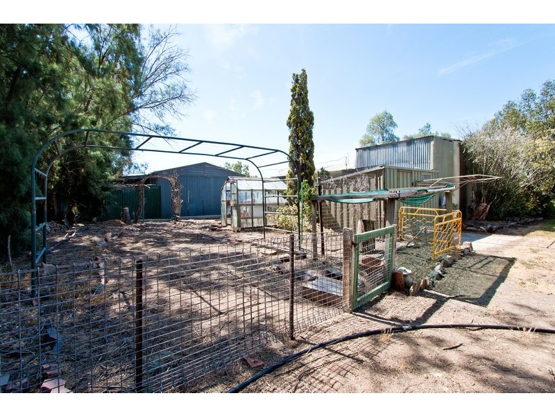 7 Trotters Drive, Globe Derby Park SA 5110