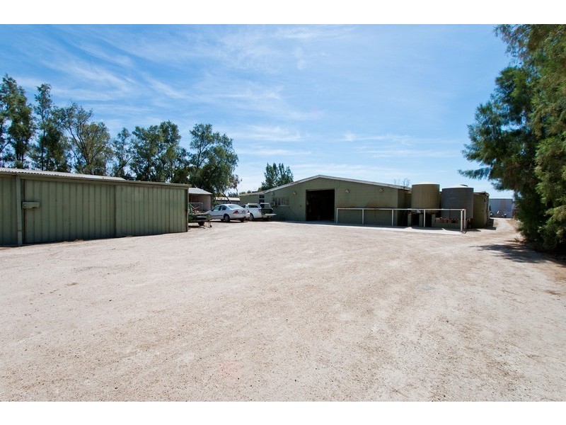 7 Trotters Drive, Globe Derby Park SA 5110