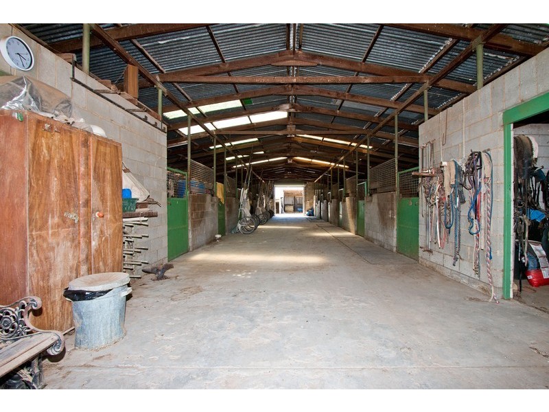 7 Trotters Drive, Globe Derby Park SA 5110