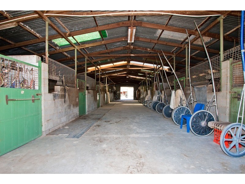 7 Trotters Drive, Globe Derby Park SA 5110