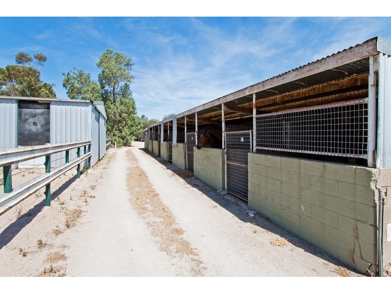 7 Trotters Drive, Globe Derby Park SA 5110