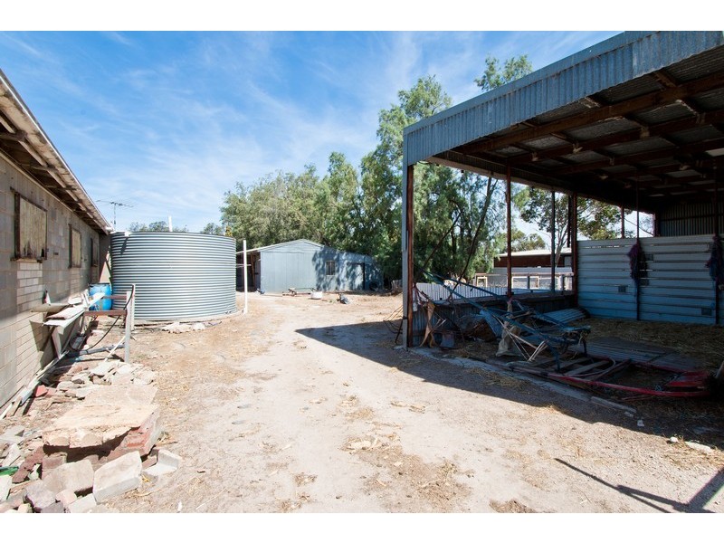 7 Trotters Drive, Globe Derby Park SA 5110