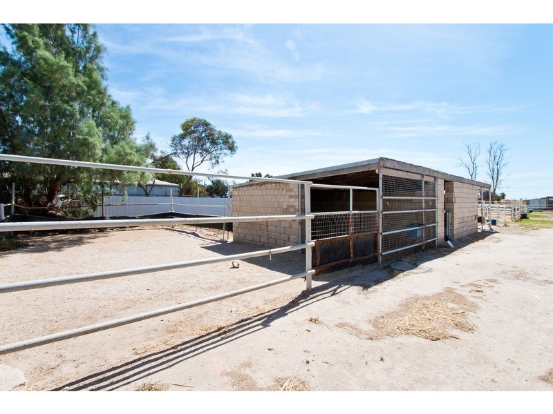 7 Trotters Drive, Globe Derby Park SA 5110