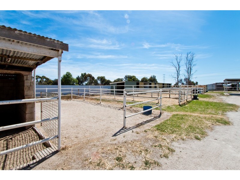 7 Trotters Drive, Globe Derby Park SA 5110