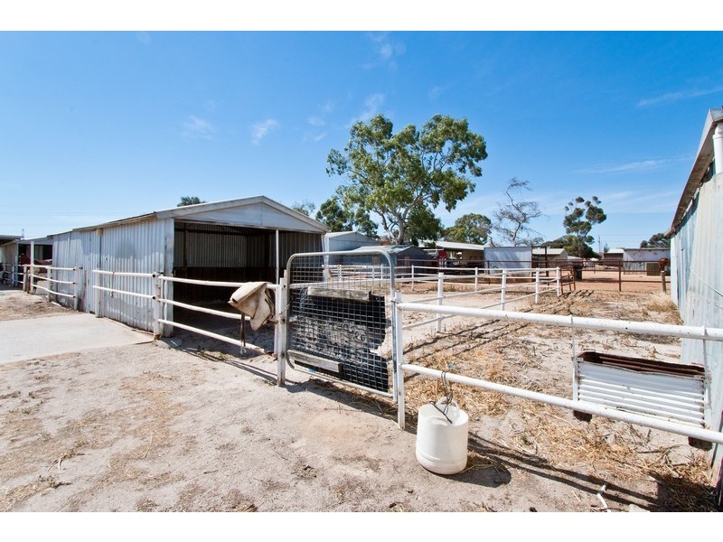 7 Trotters Drive, Globe Derby Park SA 5110