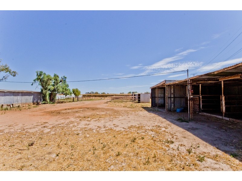 84 Daniel Avenue, Globe Derby Park SA 5110