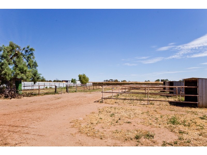 84 Daniel Avenue, Globe Derby Park SA 5110