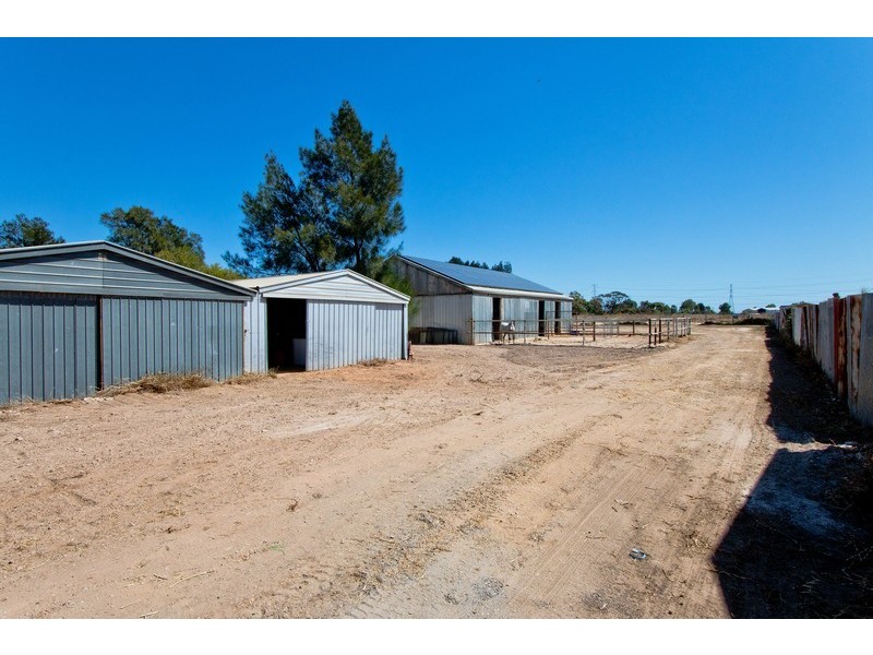 25 Trotters Drive, Globe Derby Park SA 5110