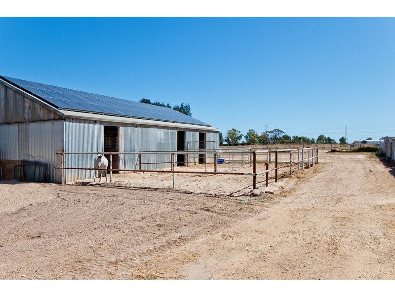 25 Trotters Drive, Globe Derby Park SA 5110