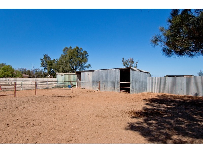 25 Trotters Drive, Globe Derby Park SA 5110