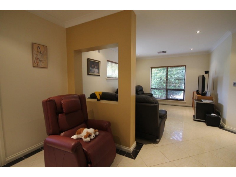 7 Creekview Drive, Mawson Lakes SA 5095