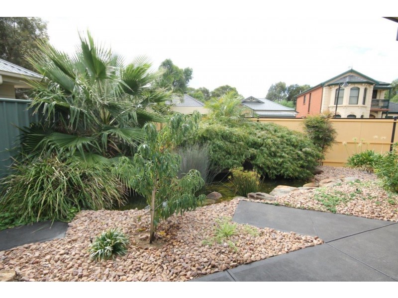 7 Creekview Drive, Mawson Lakes SA 5095