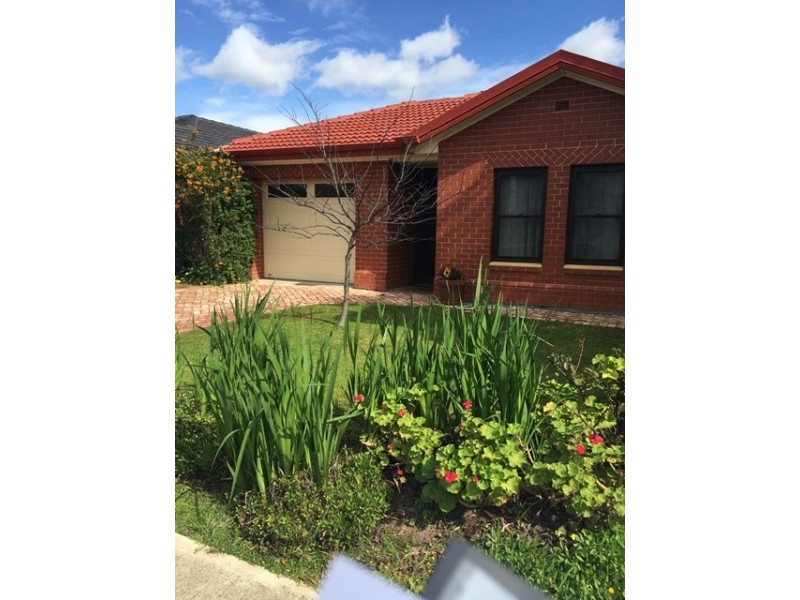 31A Wandana Avenue, Gilles Plains SA 5086