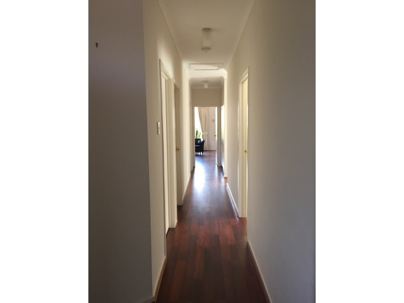 31A Wandana Avenue, Gilles Plains SA 5086