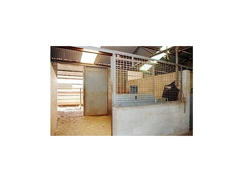 25 Alabar Crescent, Globe Derby Park SA 5110