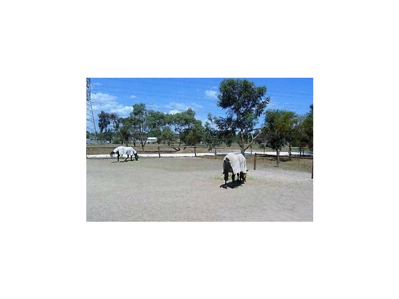25 Alabar Crescent, Globe Derby Park SA 5110
