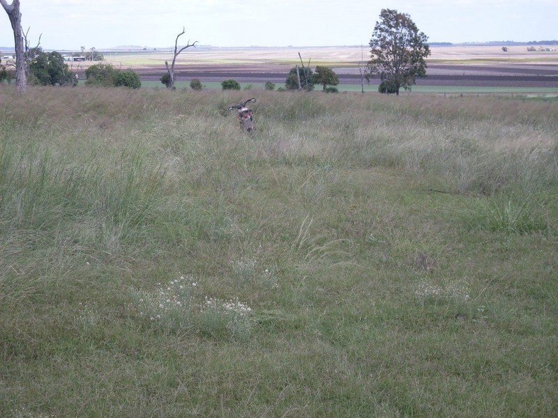 79 Brookvale Park Road, Oakey QLD 4401