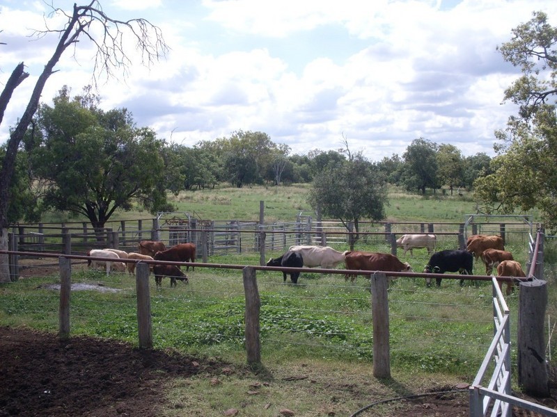 79 Brookvale Park Road, Oakey QLD 4401