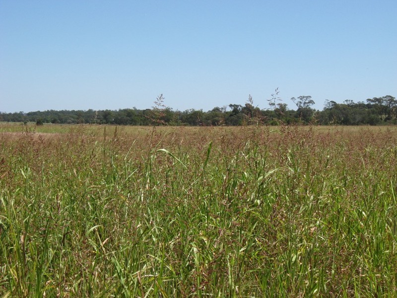 0 Peranga-Brymaroo Road, Peranga QLD 4352