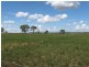 202 Oakey Kelvinaugh Road, Oakey QLD 4401