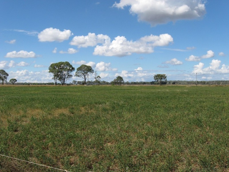 202 Oakey Kelvinaugh Road, Oakey QLD 4401