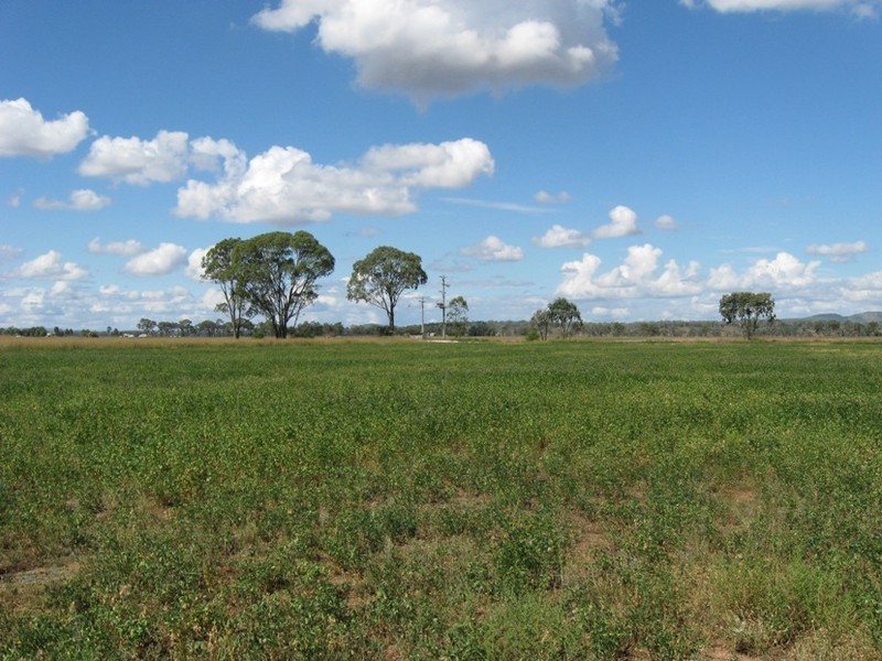 202 Oakey Kelvinaugh Road, Oakey QLD 4401