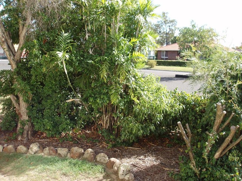 36 Geraghty Street, Cecil Plains QLD 4407
