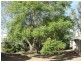 36 Geraghty Street, Cecil Plains QLD 4407