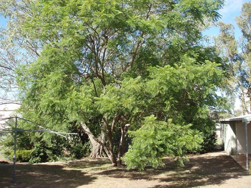 36 Geraghty Street, Cecil Plains QLD 4407
