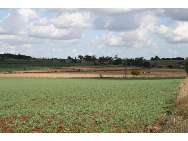 174 Sternberg Road, Kulpi QLD 4352