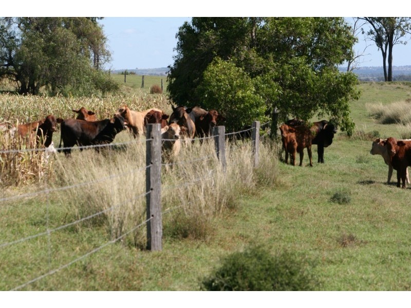 174 Sternberg Road, Kulpi QLD 4352