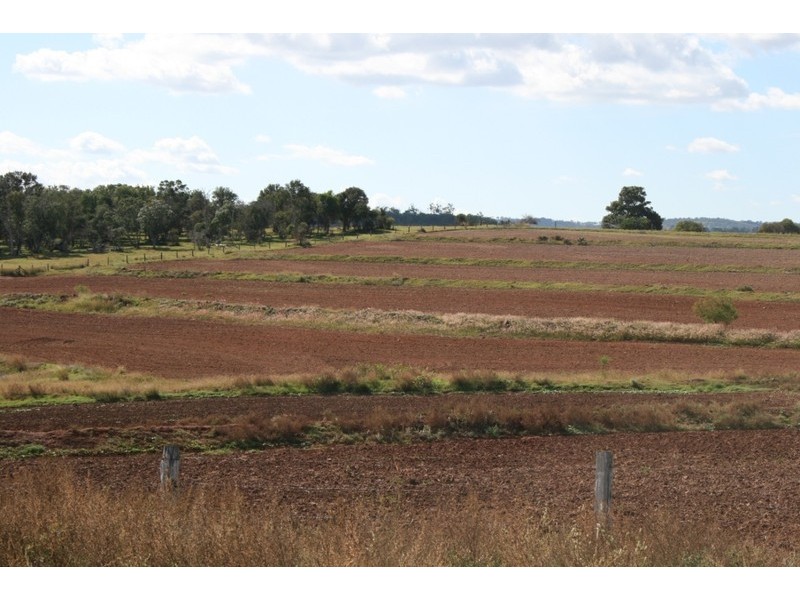 174 Sternberg Road, Kulpi QLD 4352