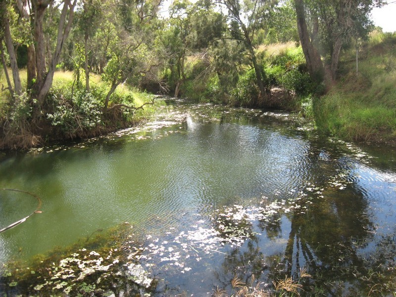 “Oakview” 137 New England H’way, Yarraman QLD 4614