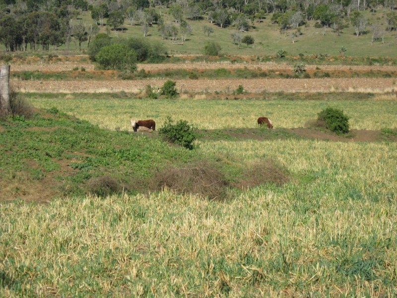 Lot 2 Oakey-Cooyar Road, Highgrove QLD 4352