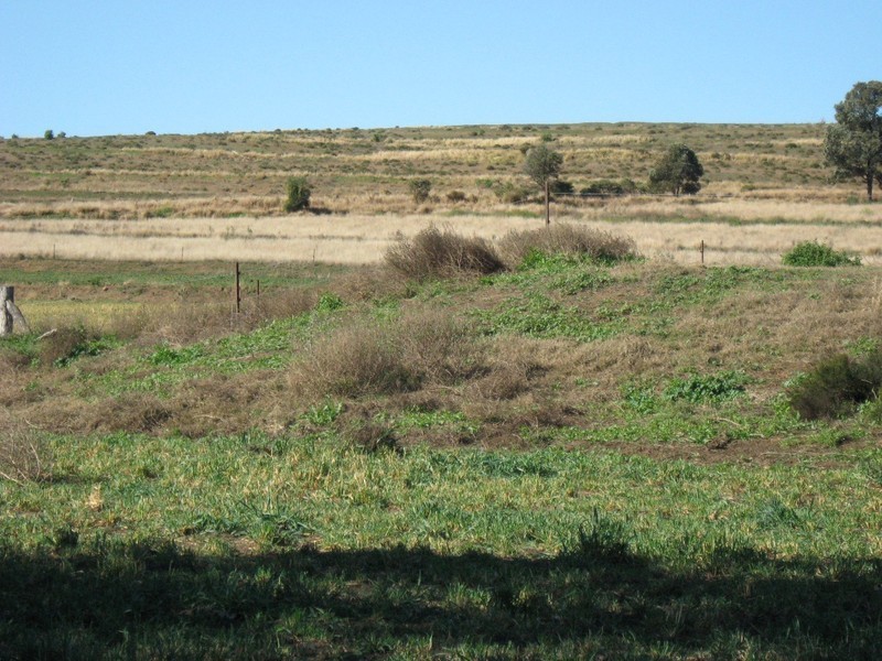 Lot 2 Oakey-Cooyar Road, Highgrove QLD 4352